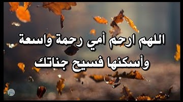 سورة المائدة من الآية ٩٠ إلى الآية ١٠٠