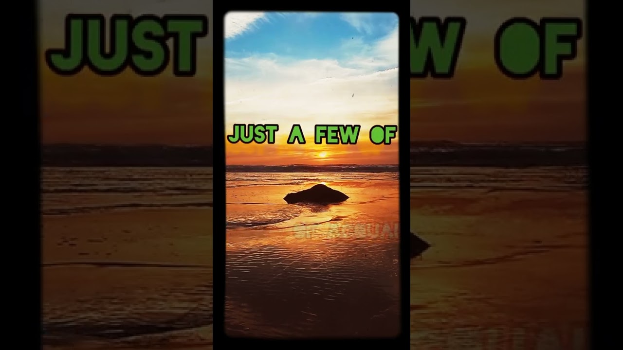 Pennies And Quarters (Prod. Scooter Phil)  (Lyric Video)