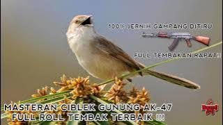 MASTERAN CIBLEK GUNUNG CIGUN FULL TEMBAKAN RAPAT NGEBREN MIRIP SUARA TEMBAKAN AK47 TERBAIK BOSSKU!!!
