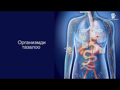 Video: Организмди тазалоонун 4 жолу