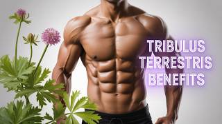 Is Tribulus Terrestris the Secret to UNBEATABLE Energy?