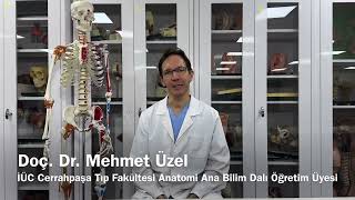 Doç.dr. Mehmet Üzel