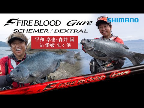 Fire Blood Gray Takuya Heiwa x Akira Morii in Yagahama, Ehime