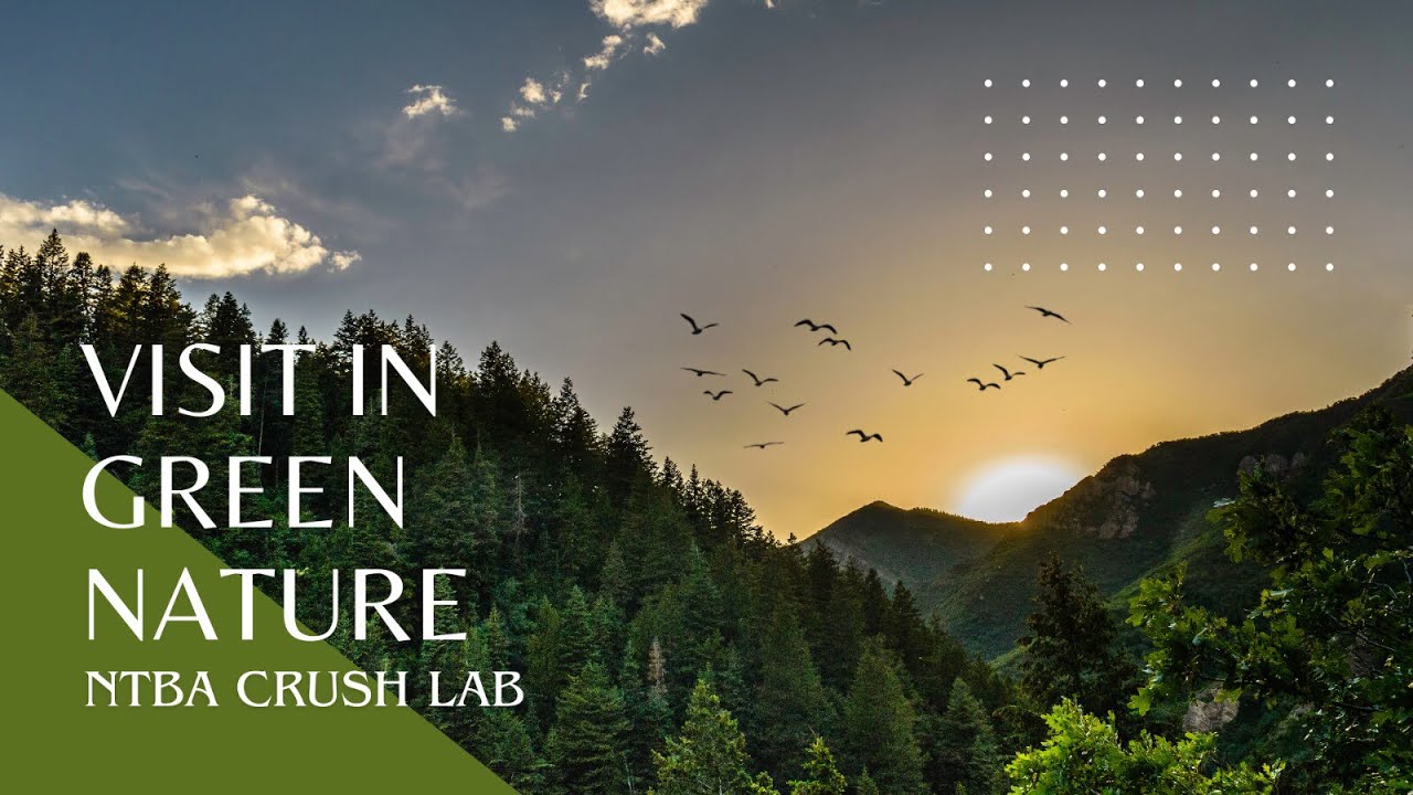 Nature Vibes Only | Green Life Moments with NTBA Crush Lab | 