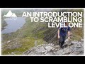 An Introduction to Scrambling: Level 1