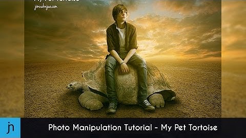 Photo Manipulation Tutorial - My Pet Tortoise (Photoshop)