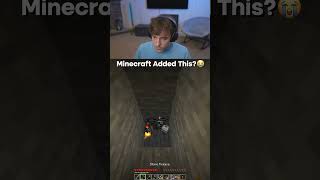 Did Minecraft Added this to Scare DrDonut?🤯