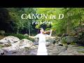 Canon in D by Pachelbel - AYAKO パッヘルベル「カノン」石川綾子