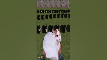 I Trying To Save The Cat in the Maze - Nextbot Gmod