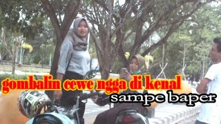 GOMBALIN CEWE BANJAR SAMPE BAPER, full bahasa banjar