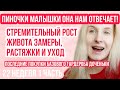 ПИНОЧКИ ◈ РОСТ🤰🏼, ЗАМЕРЫ, РАСТЯЖКИ, ПИРСИНГ ◈ 22 неделя беременности 1 Часть◈ Влоги беременной Сашки