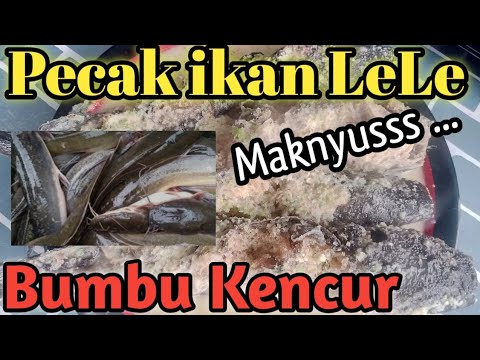 Bumbu Pecak Lele Apa Aja