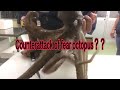 簡単なタコの処理のやり方 vol.19