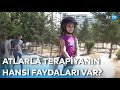 Əlilliyi olan şəxslər üçün atlarla terapiya seansı təşkil edilib