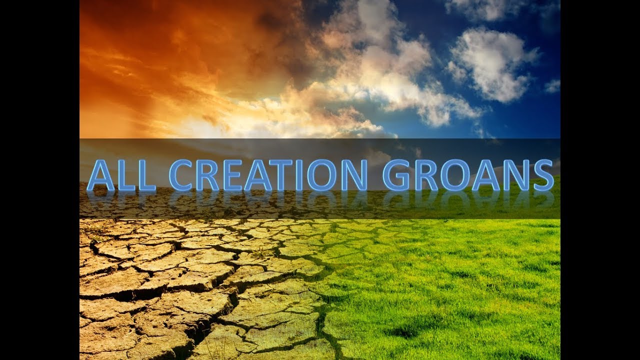 What Does It Mean That All of Creation Groans?