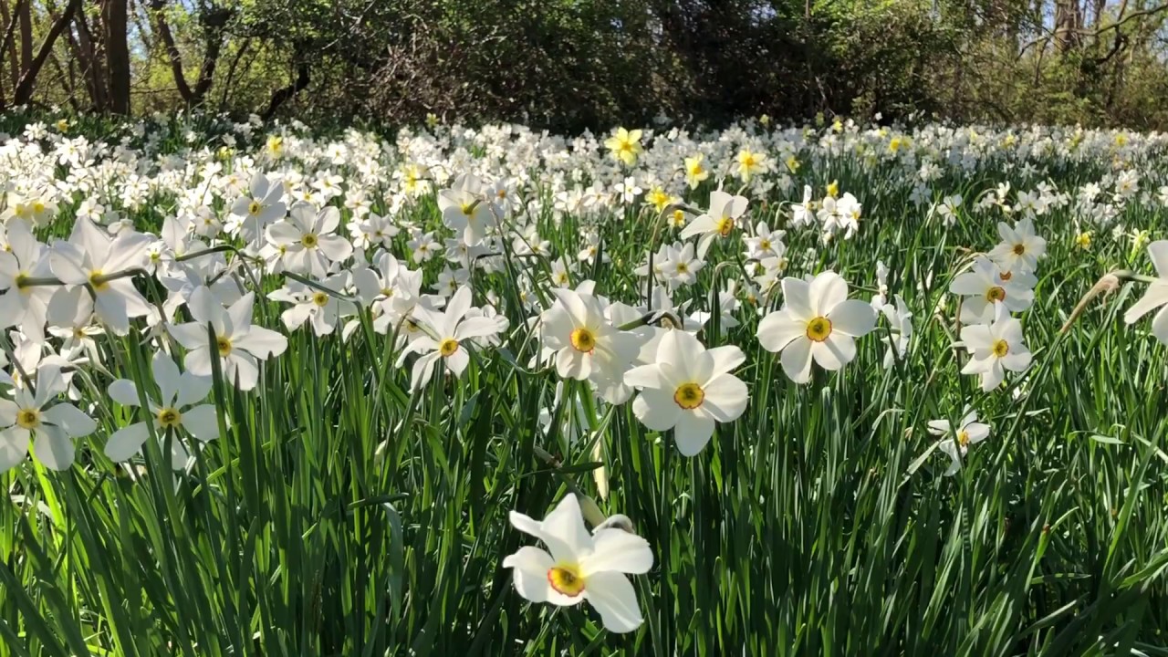 Caumsett state Hostorical park Long Island NY