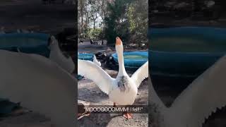 funny#pov #viral video