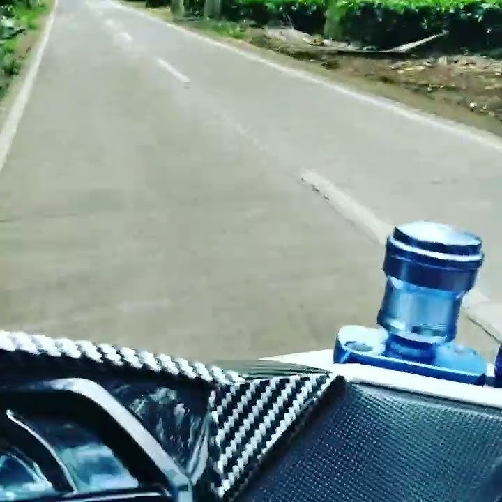 story wa jalan jalan di kebun teh
