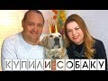 КАК МЫ КУПИЛИ СОБАКУ/ завели щенка