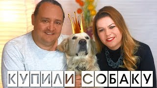 КАК МЫ КУПИЛИ СОБАКУ/ завели щенка КАК МЫ КУПИЛИ СОБАКУ/ завели щенка
