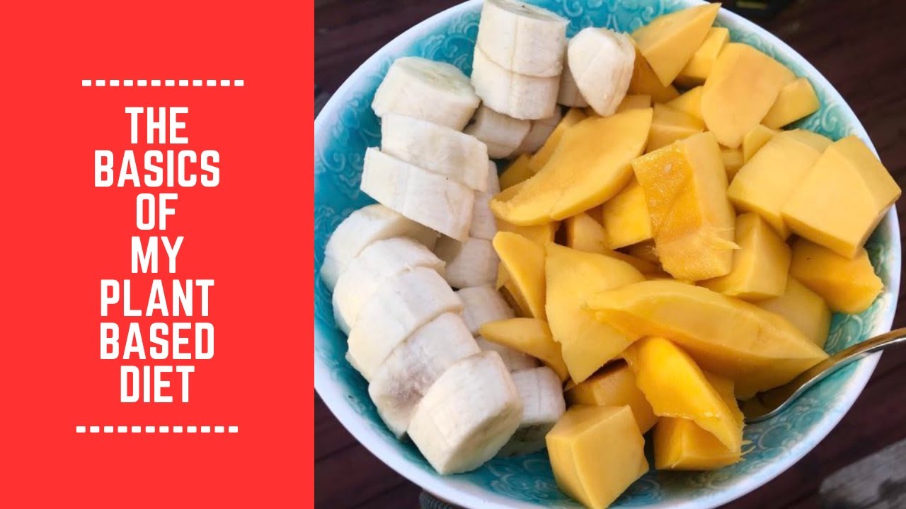 The Basics of My Plant Based Diet - YouTube
