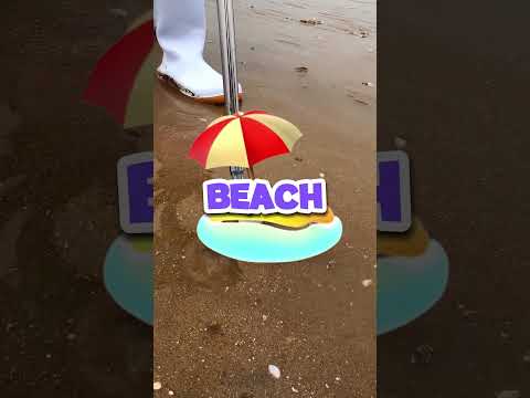 THE MOST BIZARRE THING FIND ON THE BEACH Shorts Youtube Youtubeshorts Shortseua