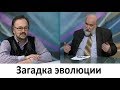 Загадка эволюции. Что общего между человеком и гидроидными полипами?