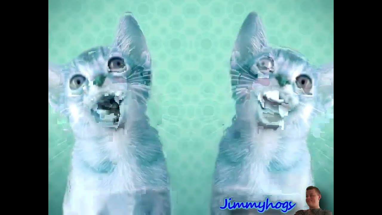 Preview 2 Numa Cat Effects Effects YouTube