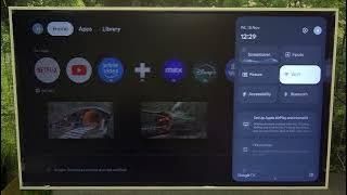 How to Adjust Black Level on TCL NXTFrame 55A300W?