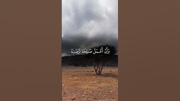 #تلاوة_خاشعة  آيات من كتاب الله راحة لقلبك وسمعك #دويتو #قرانكريم #القرآن_الكريم #قران #لايك #قراني