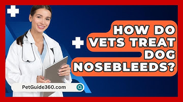 How Do Vets Treat Dog Nosebleeds? - PetGuide360.com