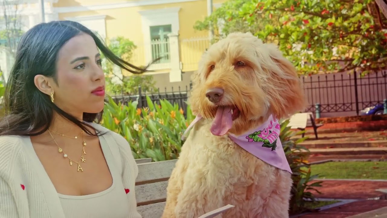 Tu acompañante fiel: Olivia, leal a tu bienestar