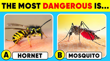 How Much Do You Know About ANIMALS? 🐝🦟✅⚠️ General Knowledge Trivia Quiz