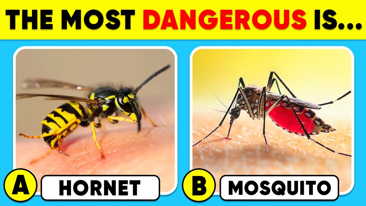 How Much Do You Know About ANIMALS? 🐝🦟✅⚠️ General Knowledge Trivia Quiz