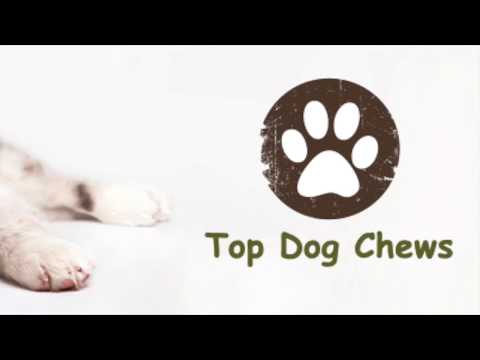 top-dog-chews-trachea