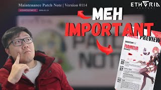 First Patch Notes Of The Year Is Cool BUT WE NEED TO TALK ABOUT FIAMELIA | Etheria Restart