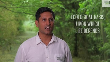 Part-3 (Native Speices) Growing Native Forests Using Miyawaki Technique Tutorial