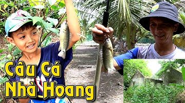 ĐI CÂU CÁ NGÔI NHÀ BỎ HOANG MẤY CHÚC NĂM TOÀN CÁ RÔ KHỦNG/FISHING - NGÃ NĂM TV