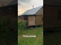 Прошёл сильный дождь с грозой.#александров#Лето#деревня#птицы#природа#shorts