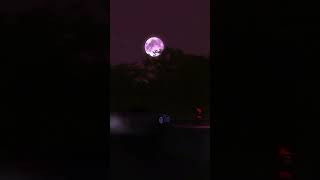 Mitsubishi Lancer Evo-9 X Strigid Edit