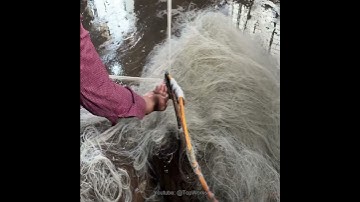 How Millions Plastic Bottles Turn Into Polyester Fiber