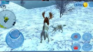تحميل اللعبة الشيقه المحاكية للواقع Arctic Wolf Sim 3D v 1.1 مهكر للاندرويد - نقود لا تنتهى screenshot 1