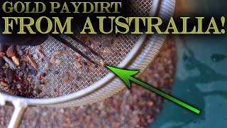 Gold Prospecting at Home #68  Golden Spear Mine Australia  Gold and Mineral Panning Sample