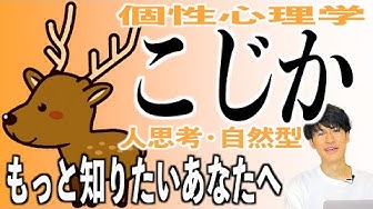 動物占い Youtube
