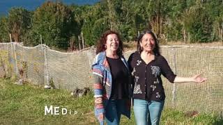 CHILOE LAGO HUILINCO