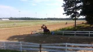 Im With Conan 1st Time With Pony On Race Track
