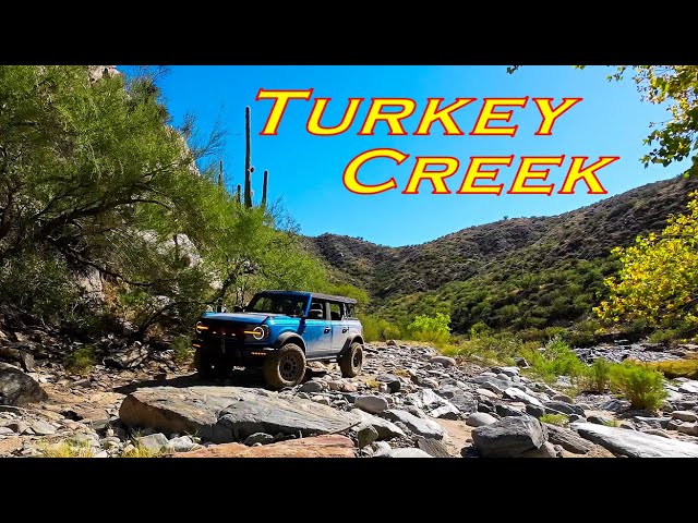 Turkey Creek Trail isn't for turkeys! Moderately difficult and a