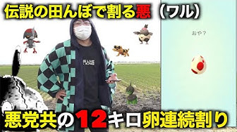 7キロ卵 Youtube