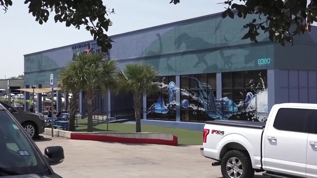 Baby Shark Stolen From San Antonio Aquarium Returned YouTube