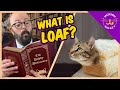 What is the Cat Loaf? | Why Does My Cat Sit in a Loaf?